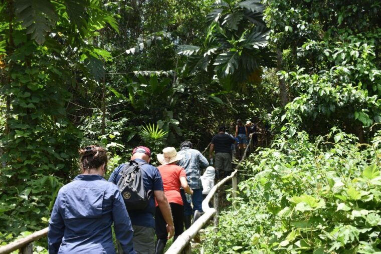 from-iquitos-4-day-pacaya-samiria-national-reserve-tour
