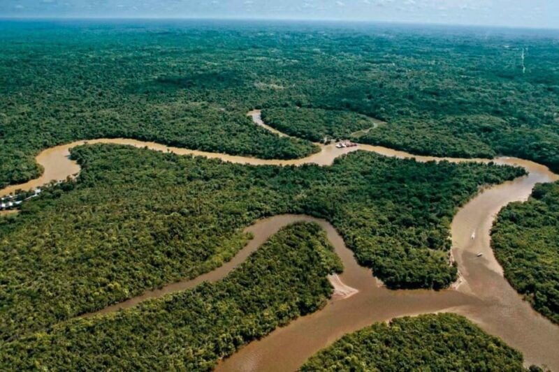 from-iquitos-6-day-amazon-rainforest-tour-2