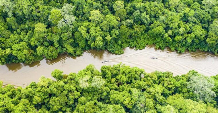 from-iquitos-6-day-amazon-rainforest-tour-2