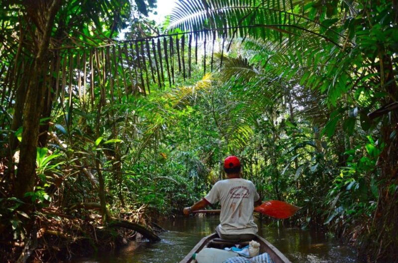 from-iquitos-navigate-the-amazon-river-full-day