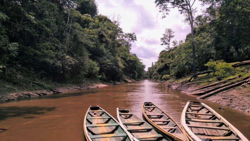 from-iquitos-navigate-the-amazon-river-full-day