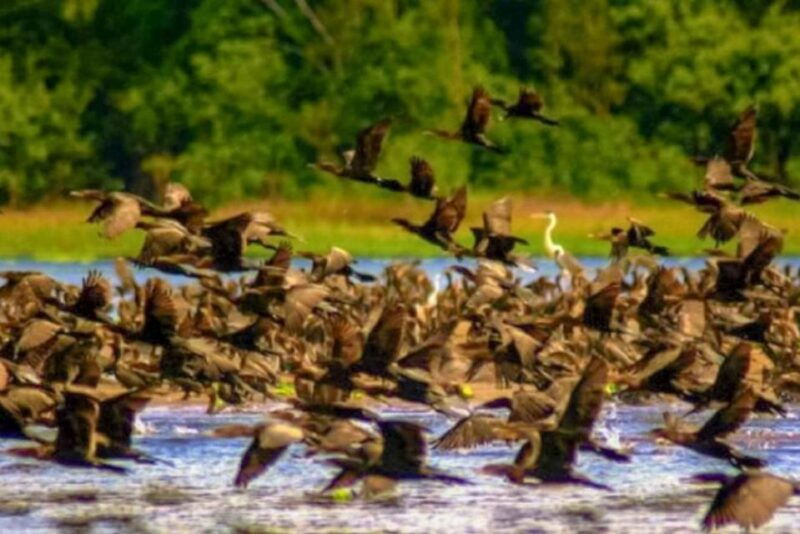 from-iquitos-navigate-the-amazon-river-full-day