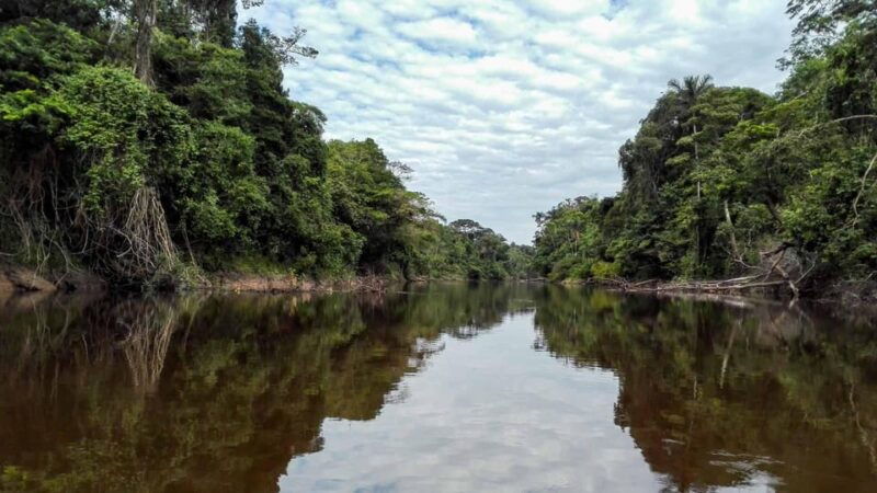 from-iquitos-pacaya-samiria-reserve-expeditions