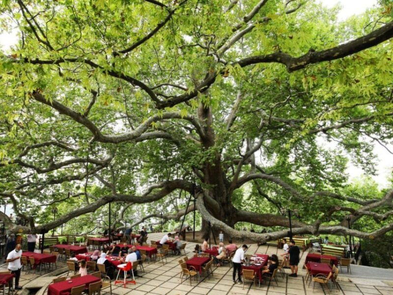 from-istanbul-bursa-day-trip-with-lunch-and-transfers