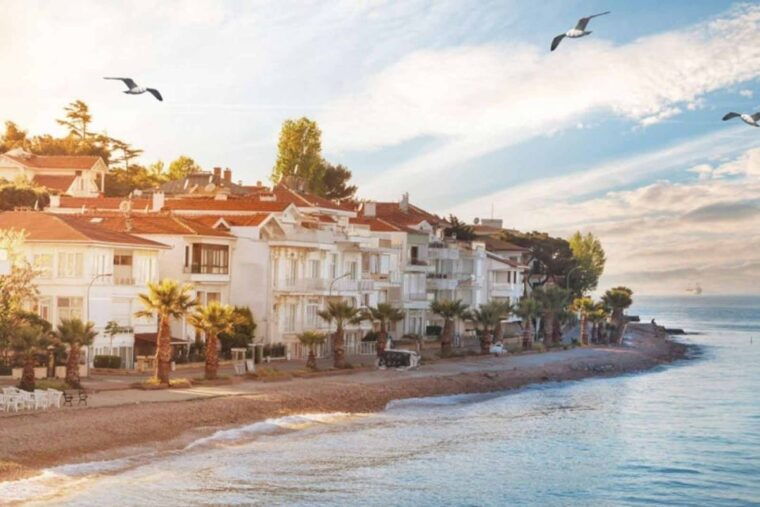 from-istanbul-full-day-princes-island-tour-with-lunch