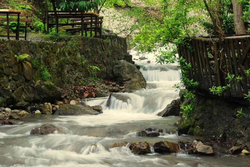 From Istanbul: Private Day Trip to Sapanca Lake and Maukiye - Why This Tour Offers Great Value