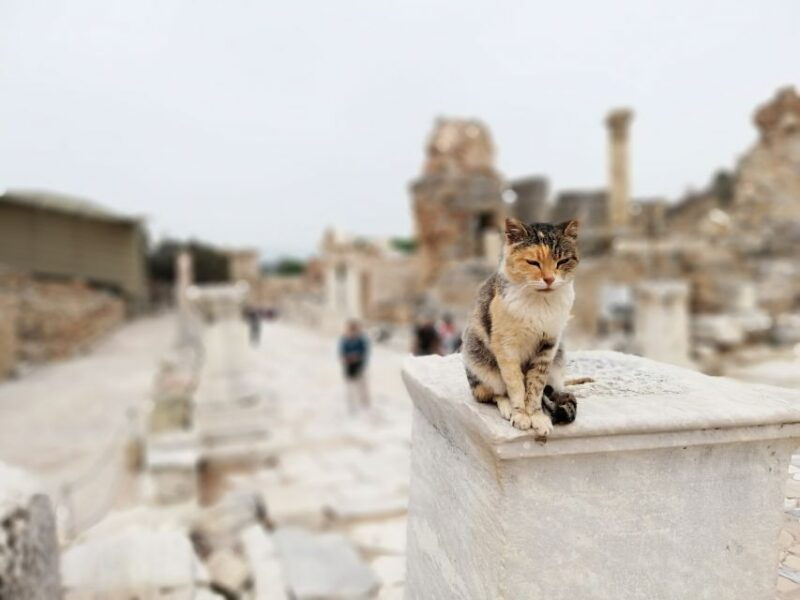from-istanbul-private-guided-day-trip-to-ephesus-with-lunch