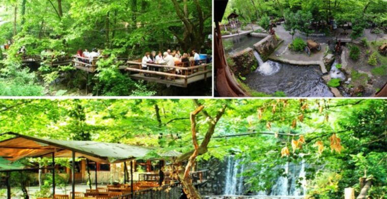 from-istanbul-sapanca-and-masukiye-day-trip-with-lunch