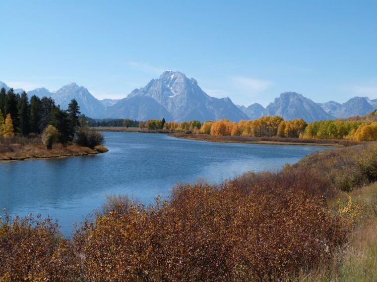from-jackson-half-day-grand-teton-national-park-tour