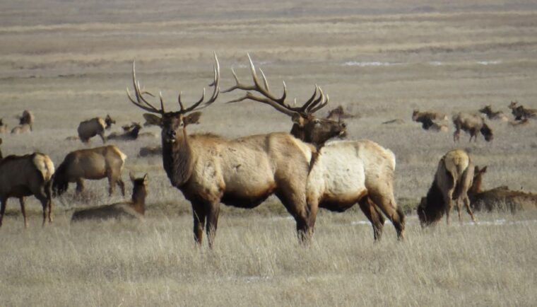 from-jackson-hole-grand-teton-national-park-sunrise-tour