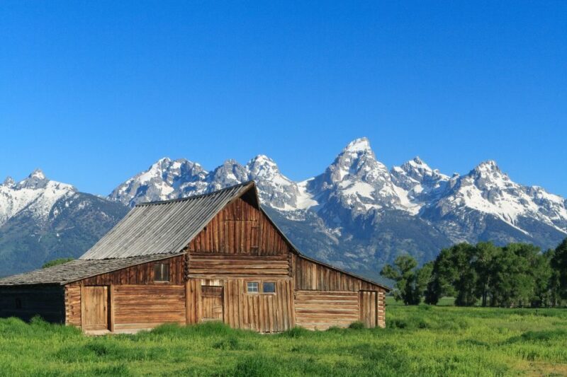 From Jackson Hole: Half-Day Grand Teton Wildlife Tour - An Inside Look at the Grand Teton Wildlife Safari