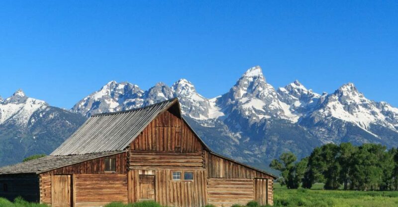 From Jackson Hole: Half-Day Grand Teton Wildlife Tour - Final Thoughts