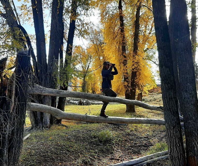 From Jackson Hole: Half-Day Grand Teton Wildlife Tour - FAQs