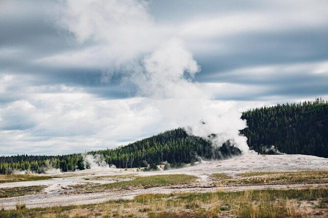 from-jackson-hole-yellowstone-old-faithful-waterfalls-and-wildlife-day-tour