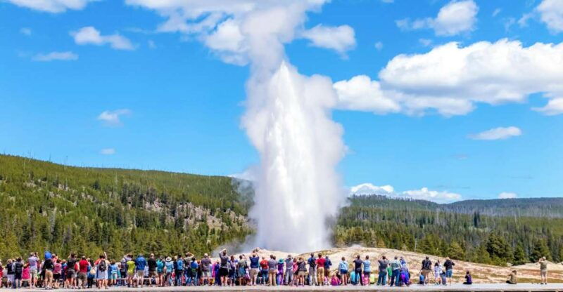 from-jackson-yellowstone-day-tour-including-entrance-fee