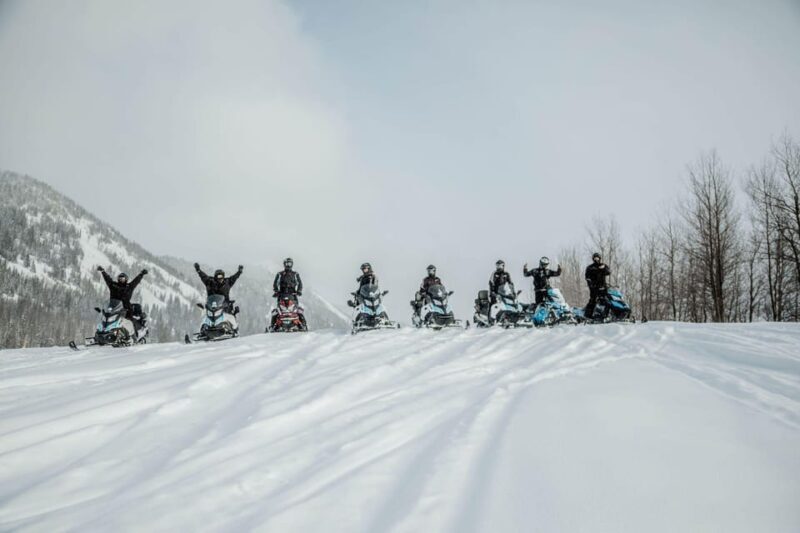 From Jackson: Yellowstone Grand Canyon Snowmobile Tour - A Detailed Look at the Yellowstone Snowmobile Tour