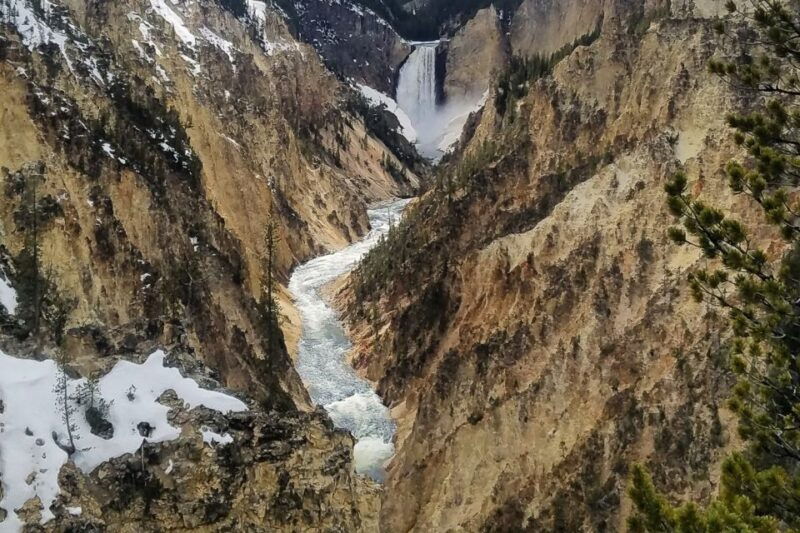 from-jackson-yellowstone-national-park-day-trip-with-lunch