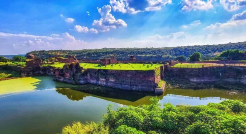 From Jaipur: 1 Night 2 Days Ranthambore Tiger Safari Tour - Transportation & Logistics