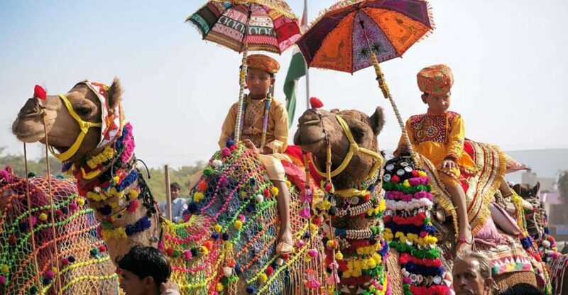 From Jaipur: One-Day Trip From Jaipur to Pushkar - Key Points