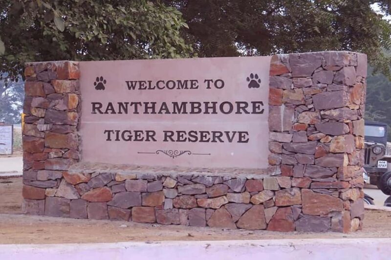 From Jaipur: Praivte Ranthambore Tour By Jeep Canter Safari - Key Points
