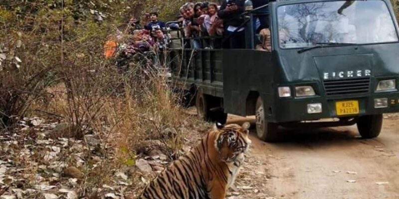 From Jaipur: Private Ranthambore Park Trip with Tiger Safari - Key Points