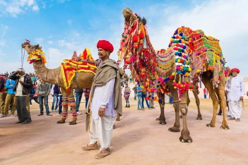 From Jaipur: Private Same Day Ajmer & Pushkar Day Trip - In-Depth Look at the Tour Experience