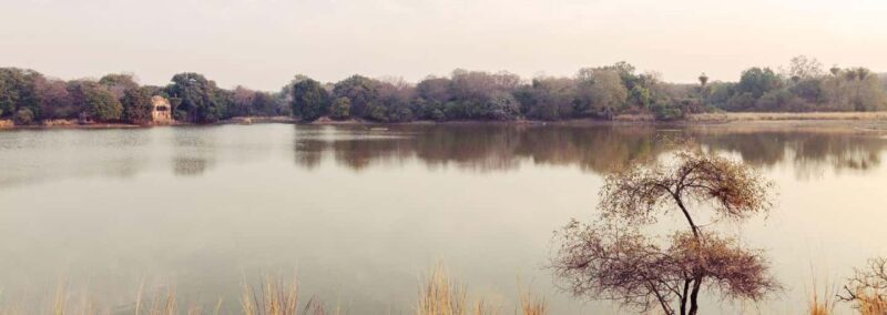 From Jaipur: Ranthambore Tiger National Park Tour (02 Days) - Who Will Love This Tour?