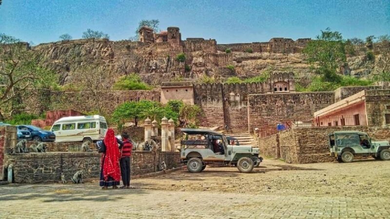 From Jaipur: Ranthambore Tiger Safari One Day Trip - An Overview of the Ranthambore Tiger Safari Experience