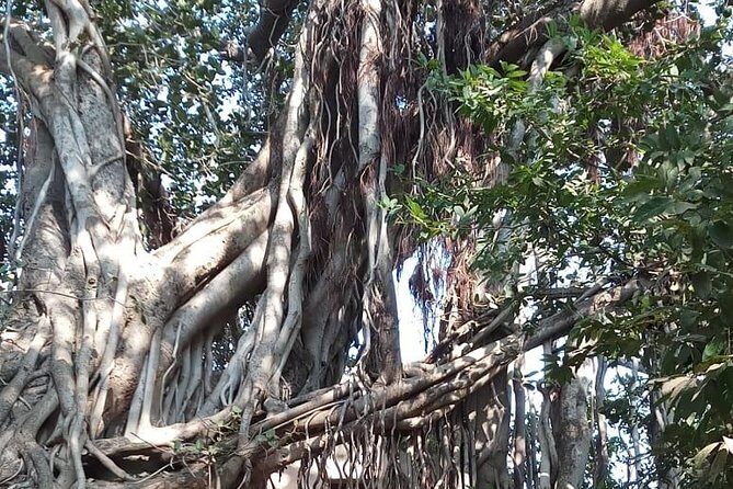 From Jaipur: Ranthambore Tiger Safari Same Day Trip - FAQ