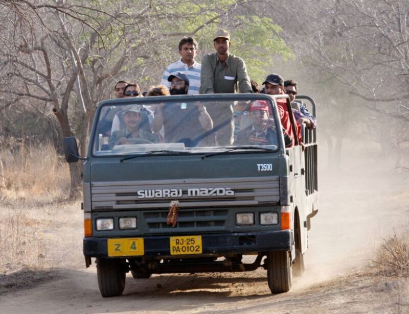 From Jaipur: Ranthambore Tour with Cab - Key Points
