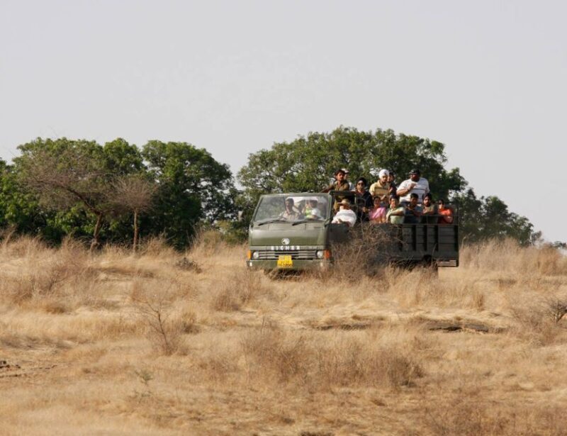 From Jaipur: Ranthambore Tour with Cab - The Landscape and What You’ll See