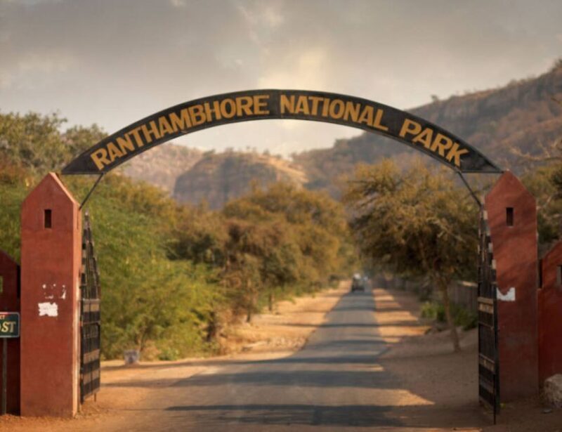From Jaipur: Ranthambore Tour with Cab - Returning to Jaipur