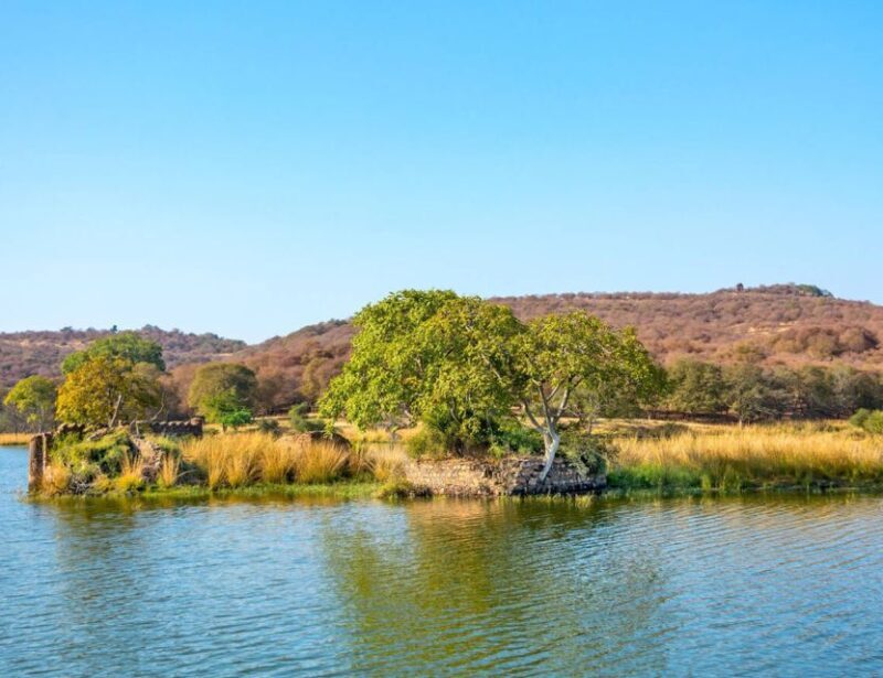 From Jaipur: Ranthambore Tour with Cab - Who Would Enjoy This Tour?