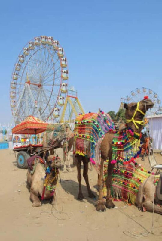 from Jaipur: Same Day Ajmer-Pushkar Tour by private Car. - Key Points