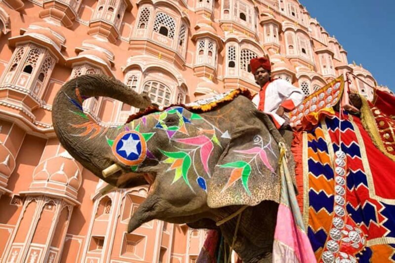 From Jaipur: Same Day Jaipur Sightseeing Tour - Who Is This Tour Best Suited For?