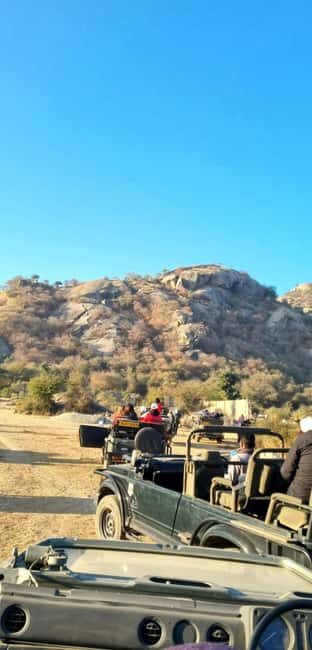 From Jaipur: Sariska National Park Day trip with Safari - The Sum Up