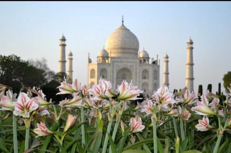 From Jaipur : Taj Mahal & Agra Fort Day Tour with Lunch - What Really Makes This Tour Stand Out?