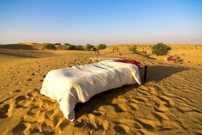 From Jaisalmer: Private Trip Under Stars with Camel Safari - Introduction