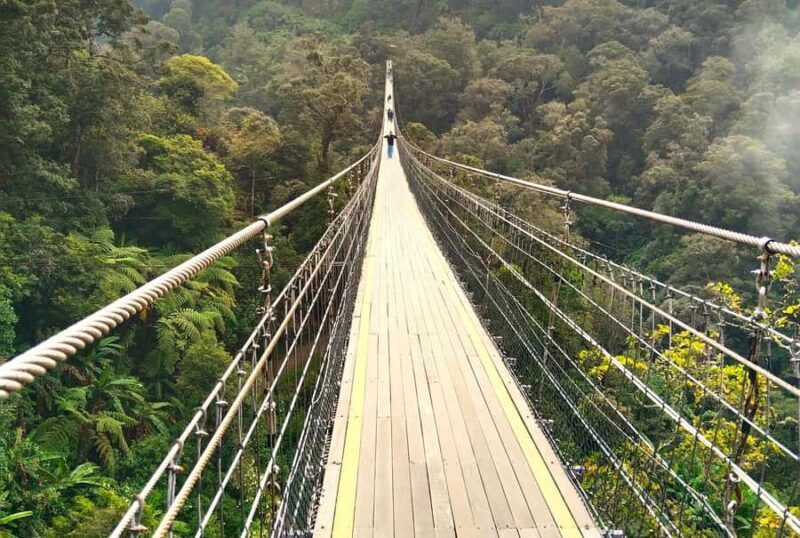 From Jakarta/Bandung: Sky-Bridge & Volcanic Crater Tour - Key Points