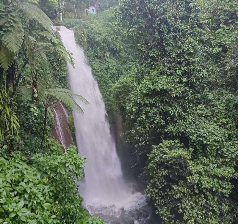 from-jakarta-bogor-botanical-garden-ricefield-waterfall