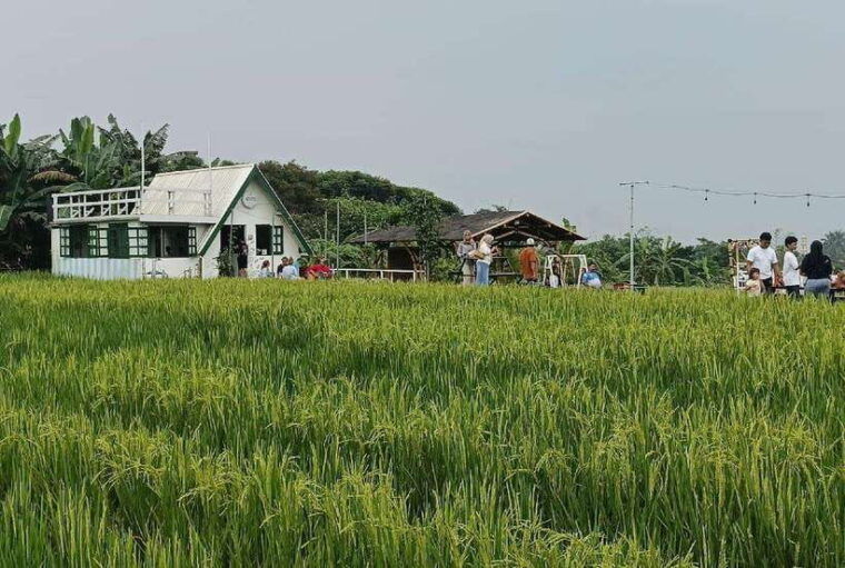 from-jakarta-bogor-botanical-garden-ricefield-waterfall