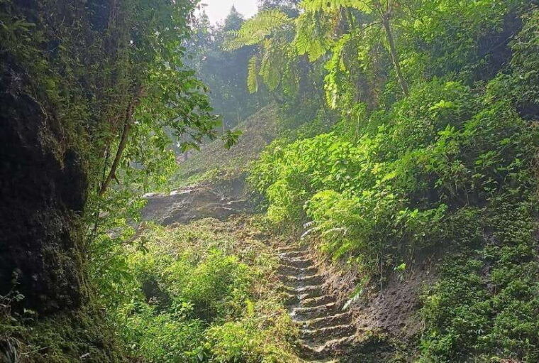 from-jakarta-bogor-botanical-garden-ricefield-waterfall