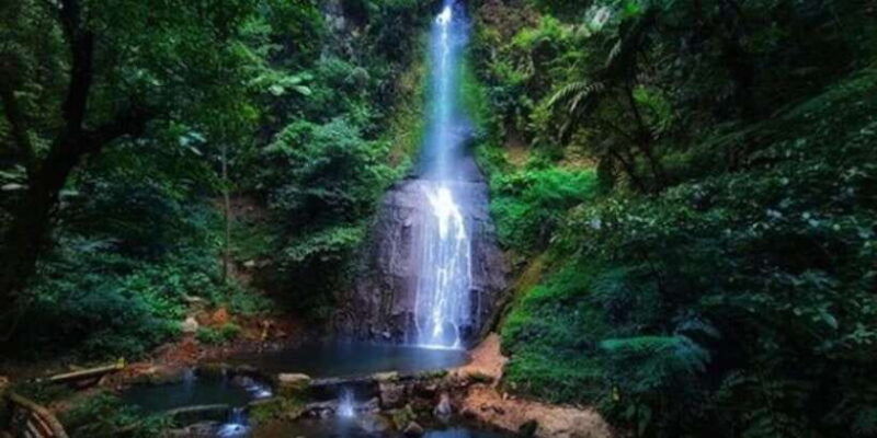 from-jakarta-explore-safari-parkwaterfall-tea-plantation