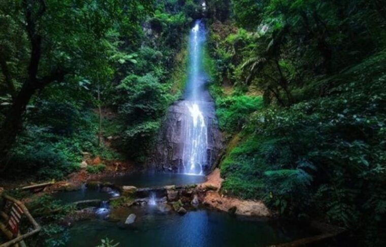 from-jakarta-explore-safari-parkwaterfall-tea-plantation