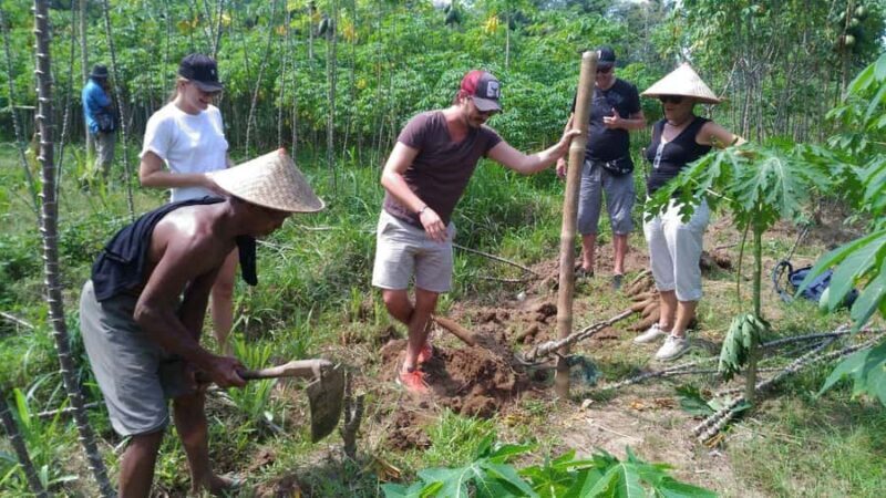 From Jakarta or Bali: Yogyakarta, Java Bali Higlight Tour - Key Points