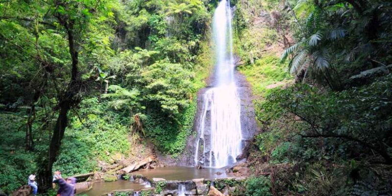 from-jakarta-safari-park-tea-plantation-jaksa-waterfall