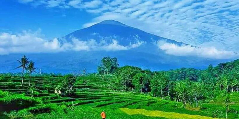 from-jakarta-volcano-tea-rice-fields-hot-spring
