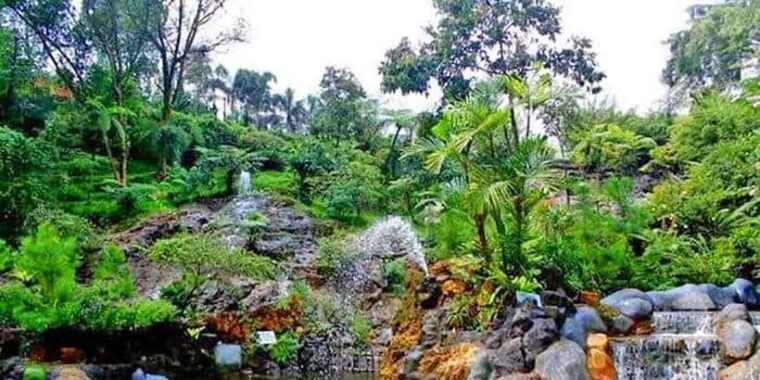 from-jakarta-volcano-tea-rice-fields-hot-spring