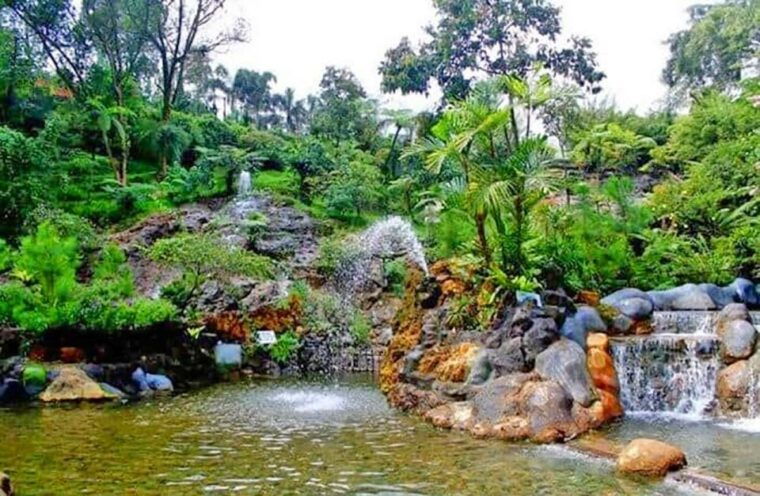 from-jakarta-volcano-tea-rice-fields-hot-spring