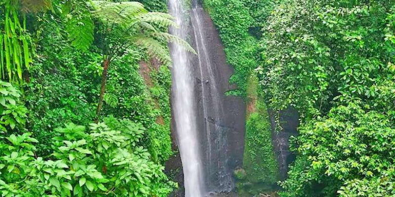 from-jakarta-waterfall-botanical-garden-puppet-show